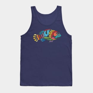 Colorful Grouper Fish Tank Top